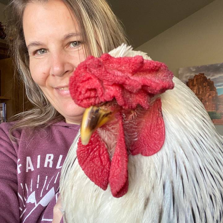 Backyard Chicken Mafia