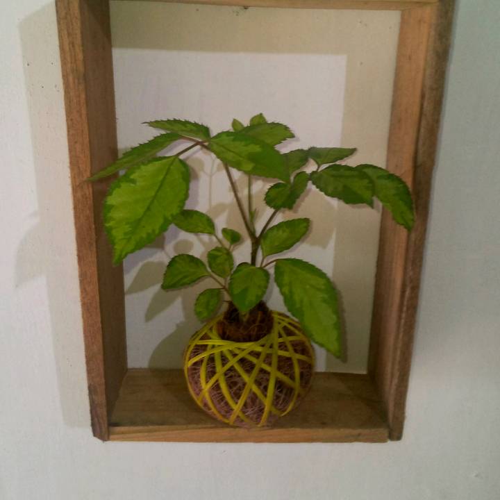 El jardín de Yarilú