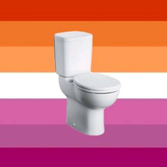 Tik Tok Toilet Reviews