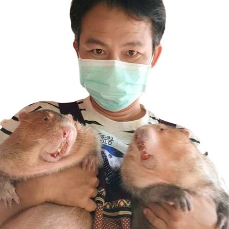 อ้นใหญ่ภูสอยดาว