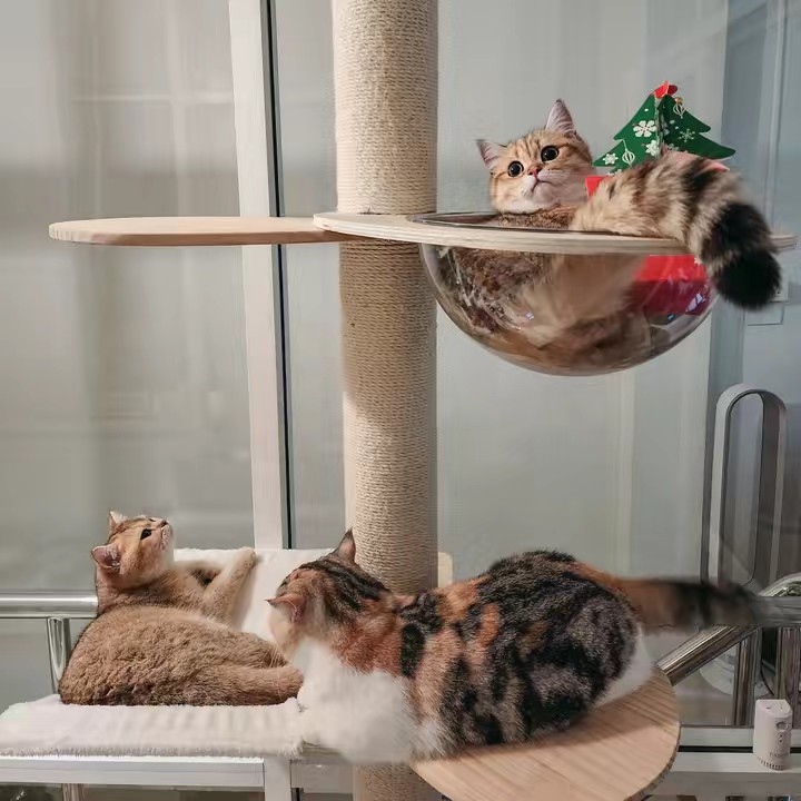 BAANOSOTH HEALTH PLUS