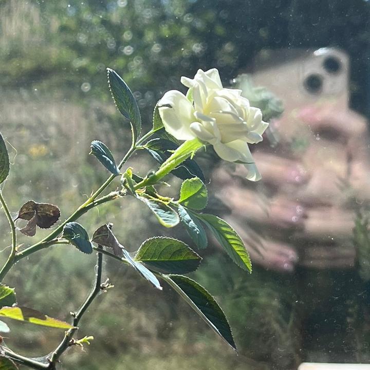 ㅤㅤㅤㅤㅤㅤㅤㅤㅤㅤㅤㅤㅤㅤㅤㅤㅤㅤㅤㅤ.