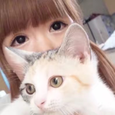 ✧ホシちゃん🏡🌠(ｻﾝﾗｲﾄ)