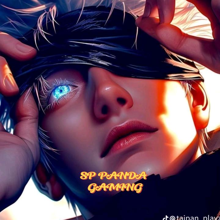 🆂🅿 🅿🅰🅽🅳🅰 🅶🅰🅼🅸🅽🅶