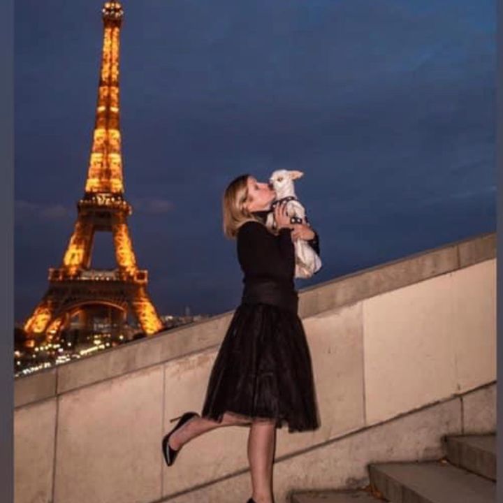 Planty_Frenchy_&_ses_amis