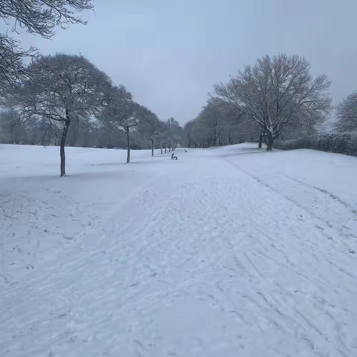 Two post codes tara attfield