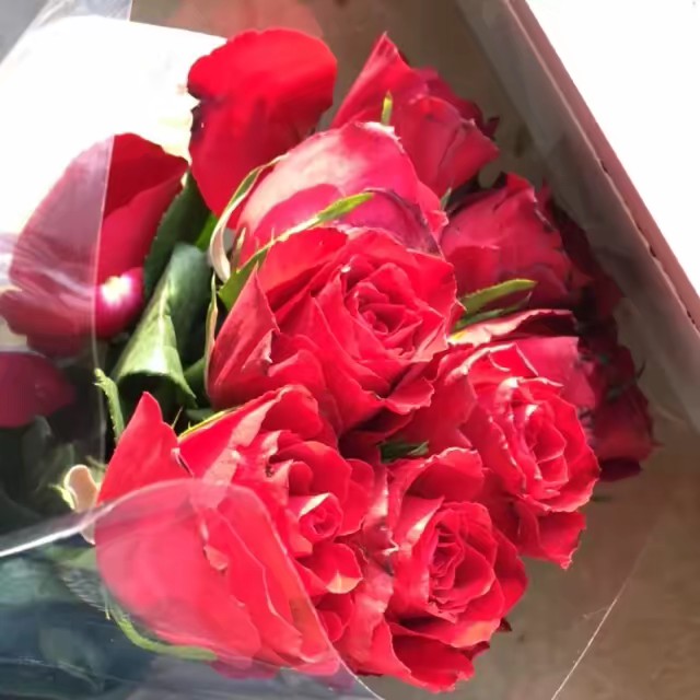 ❤️hicran❤️ 47