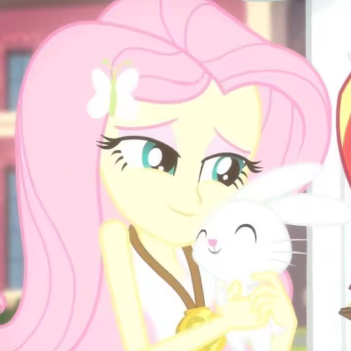 ⌗ 𝓶𝓮𝓵𝓲 🐬.