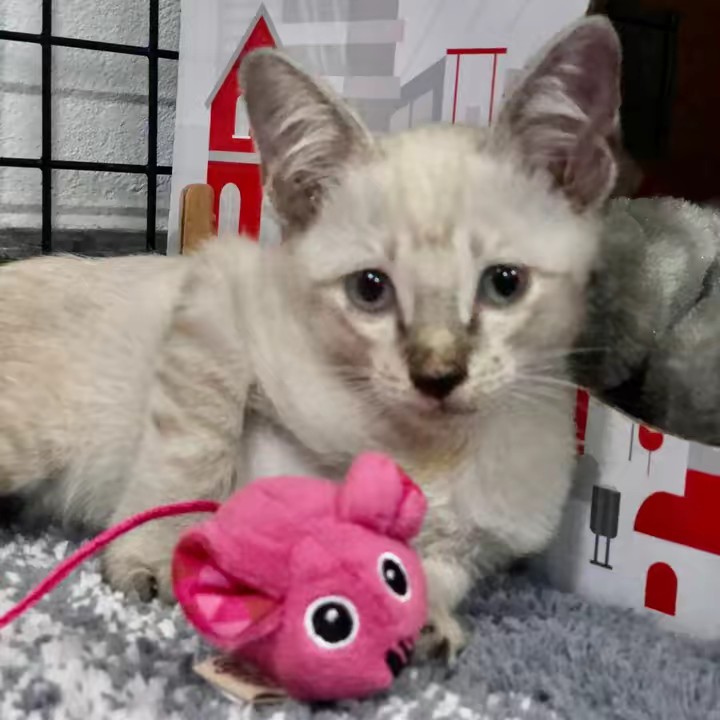 เจ๋ง🐾🐾เป้ง