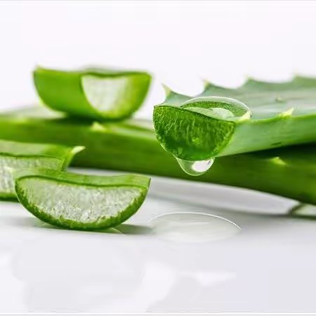 Aloe