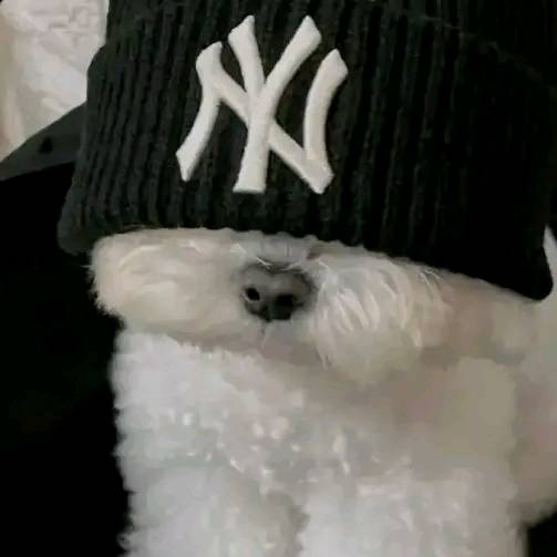 Renan Silva Faria  (¢_¢) FF GF