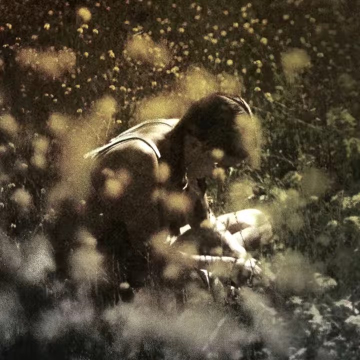 (Not) American Teenager