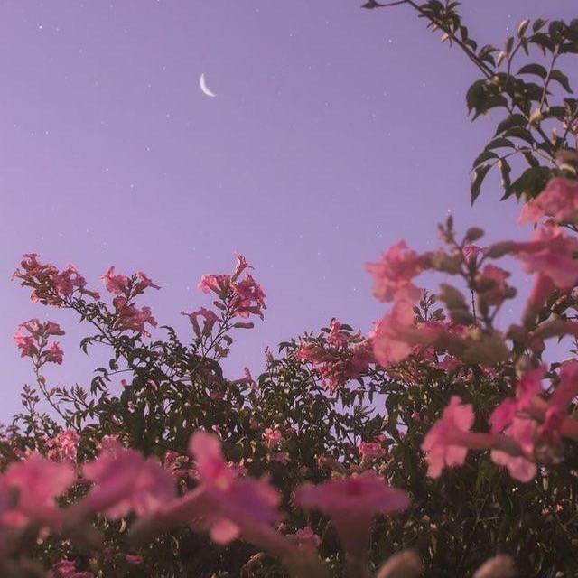 roblox.fakestories.xx