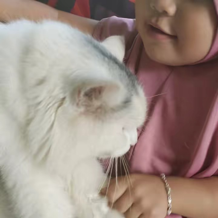 🇮🇩Arnay🇸🇬