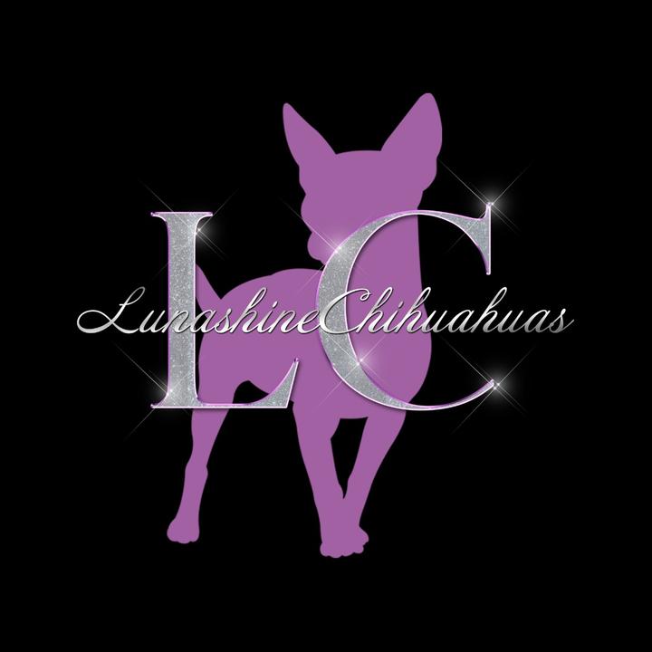 Lunashine Chihuahuas