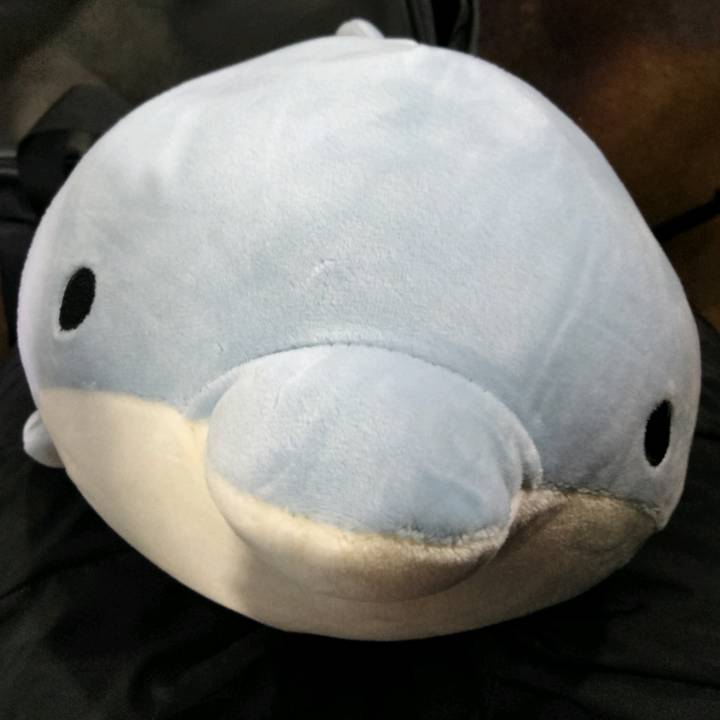 🪐🐬いるか🐬🪐