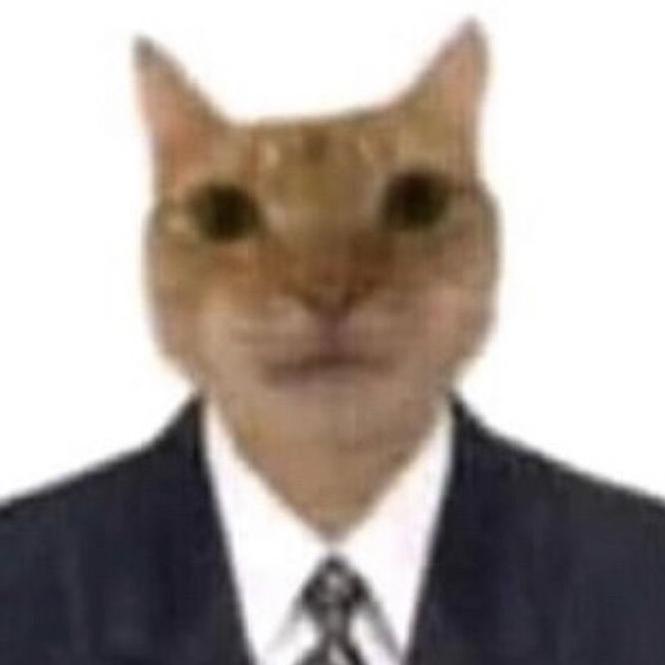 monsieur cat