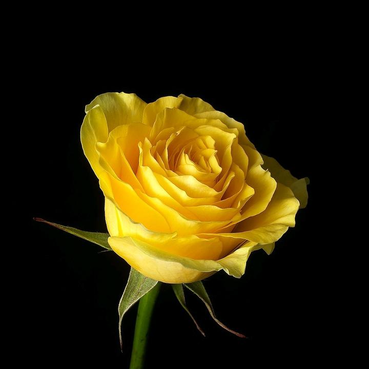 🖤🏳️‍🌈Nikole🏳️‍🌈🖤