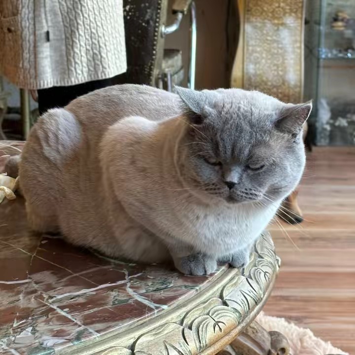 Spiritual fairy 🧚🏽‍♀️