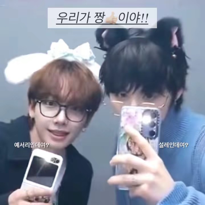 띵동설레똥 바라기 띵동예설♡