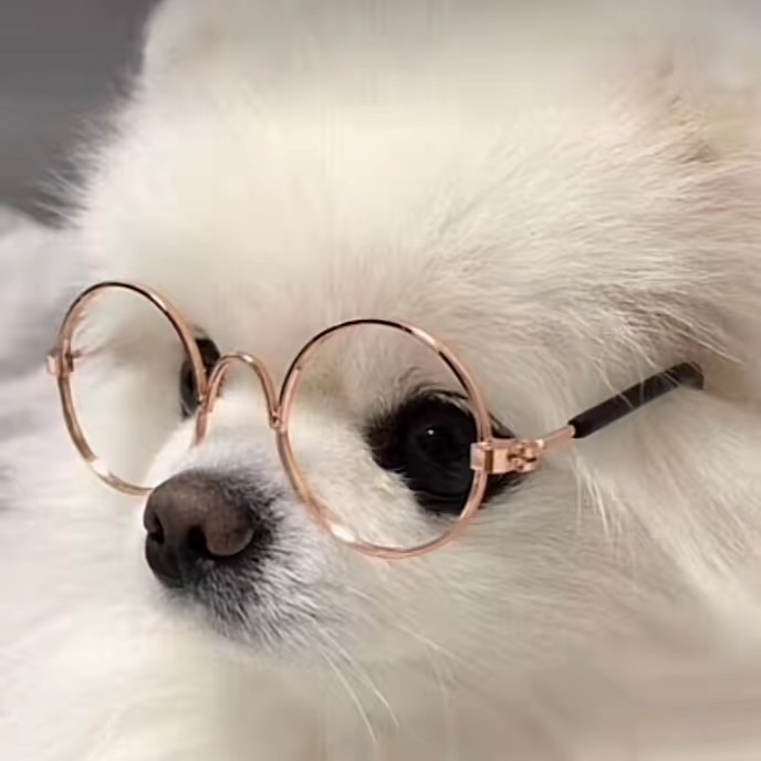 もか・まいめろ*:.｡. o