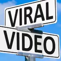 Viral Videos