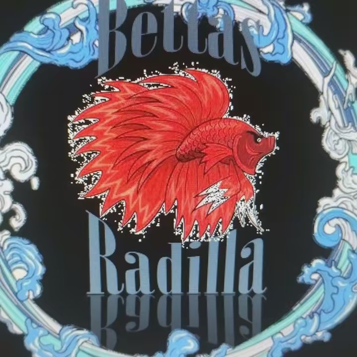 Bettas Radilla🌊🌊