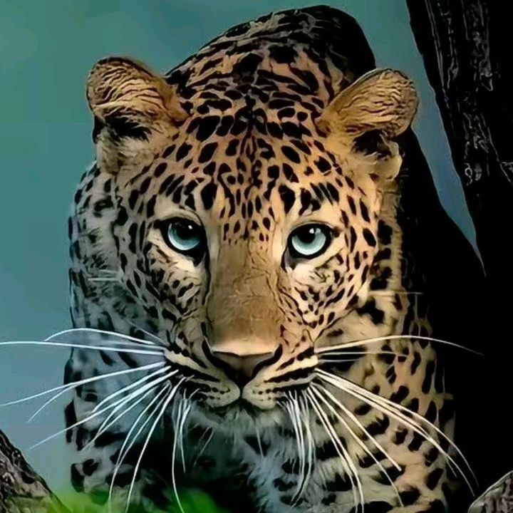 🐬ıllıllı BesT Bro ıllıll🐋🪽