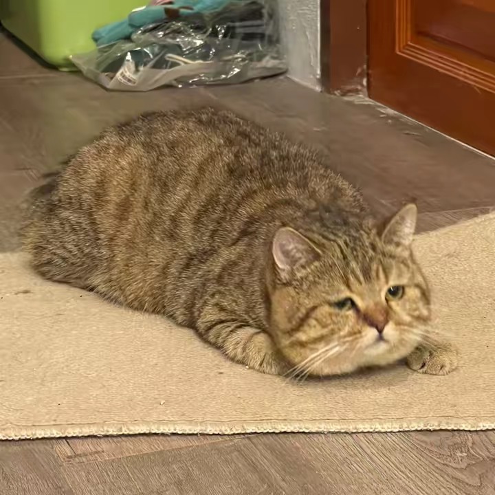 เปาลูกพ่อ