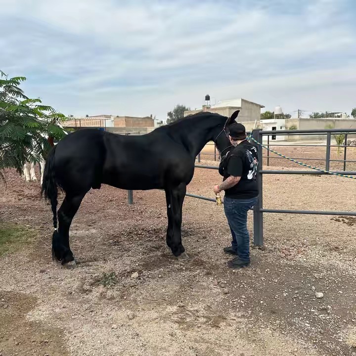 usuario_nodisponible316