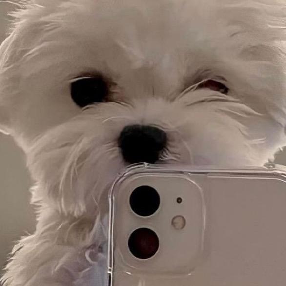 Anna’s TikTok Finds