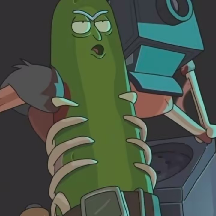 PickleRick389