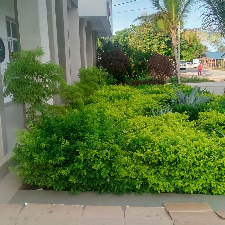 the legend of code man