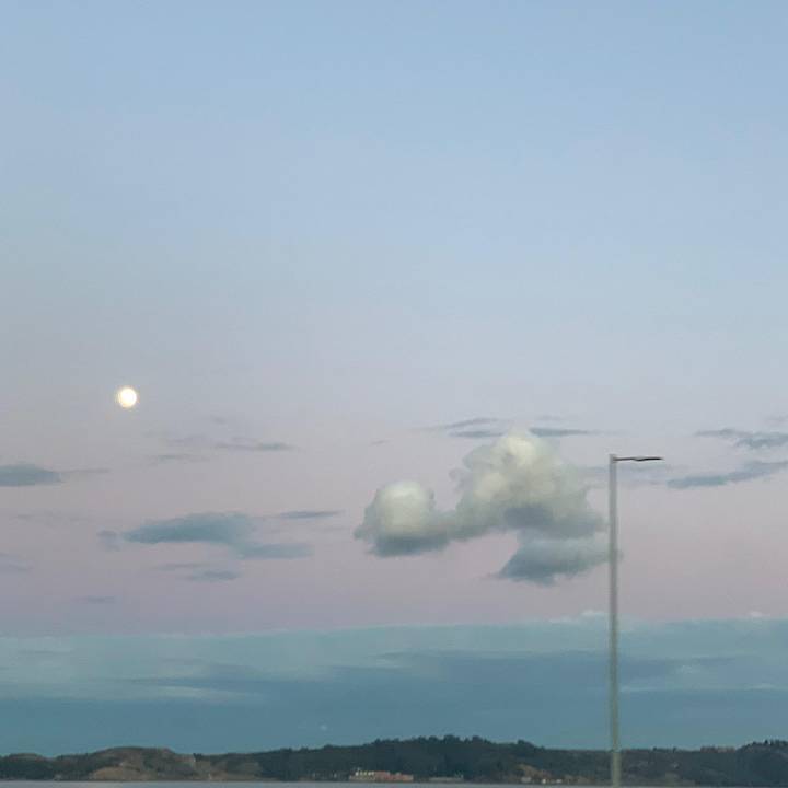 Alejandra Johns Cast