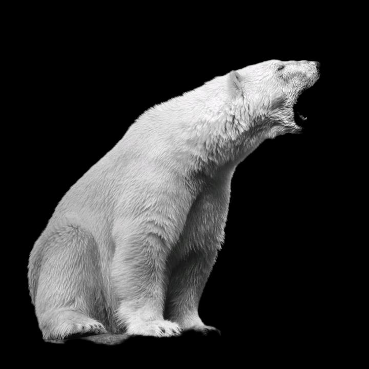 𝐏𝐋𝐀𝐍𝐄𝐓𝐀𝐏𝐄𝐑𝐅𝐄𝐂𝐓𝐎