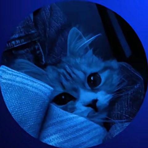 🩵 𝐻𝑒𝓁𝓁𝑜 🩵