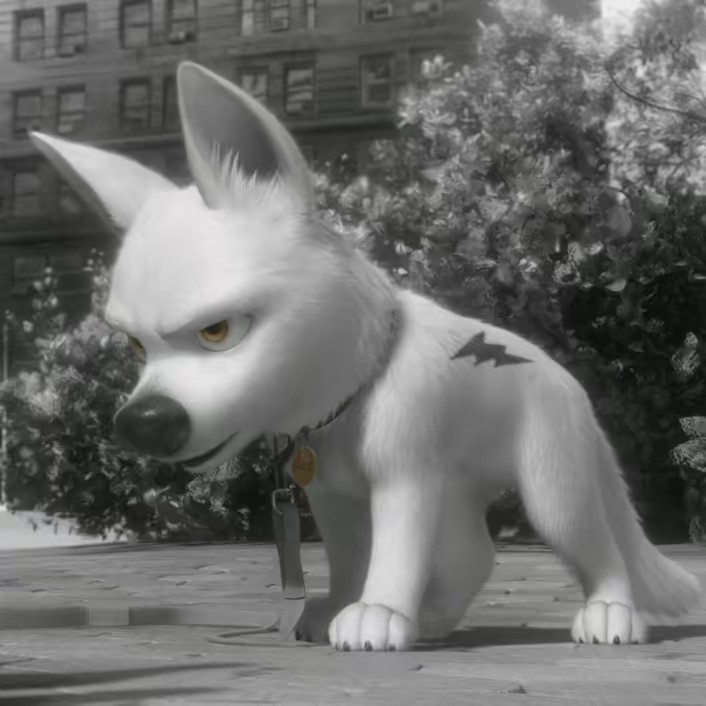 🌠 𝕴𝖓𝖋𝖆𝖓𝖈𝖎𝖆 🌠