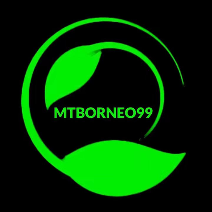 MTBORNEO99