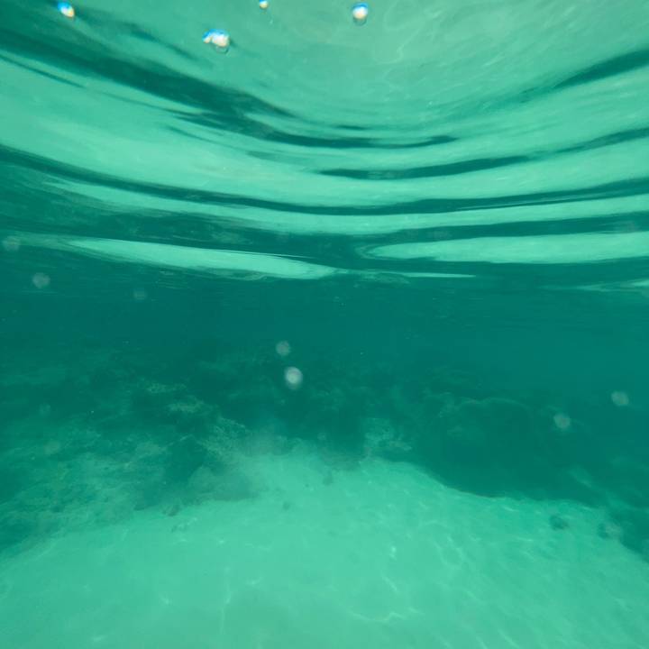 Myla 🏳️‍🌈🥀