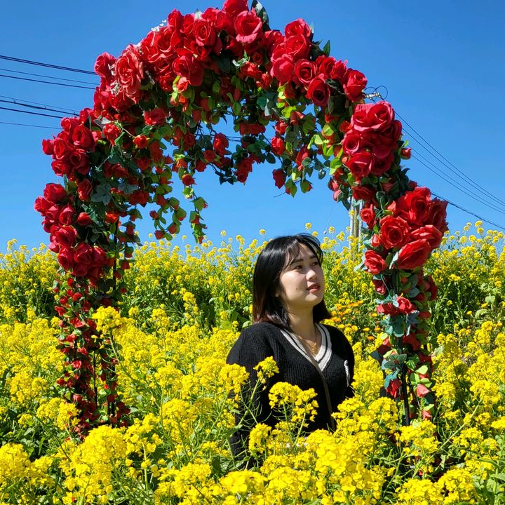 Trang Korea 🇰🇷제주🇻🇳