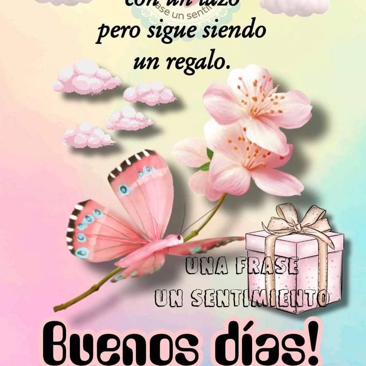 Influencerchilanguita