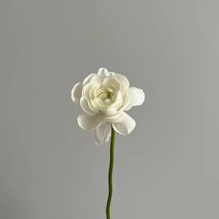 紬 | 実家暮らし大学院生のお部屋☁️