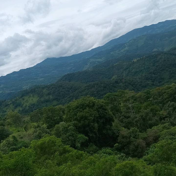 Ricardo Dias hernandez