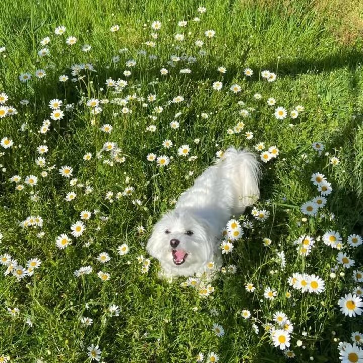 รีวิวไปเรื่อย🧣🥐