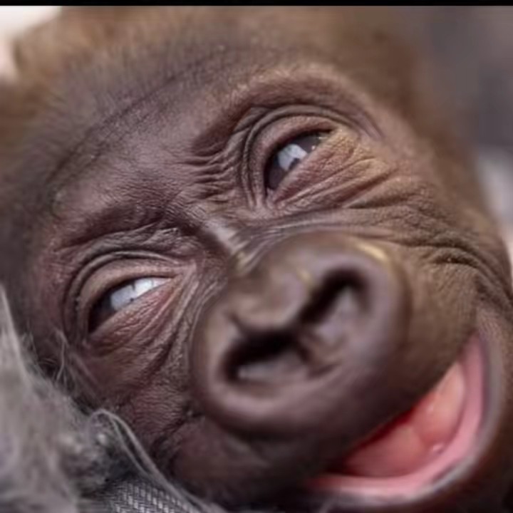 世界ってたまにバズるよね!!