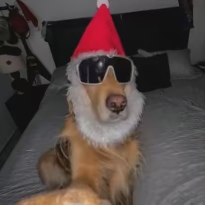 🎧💪Cameron💪🎧