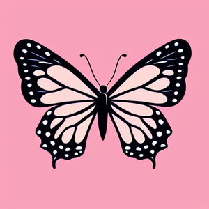 mxpopstore