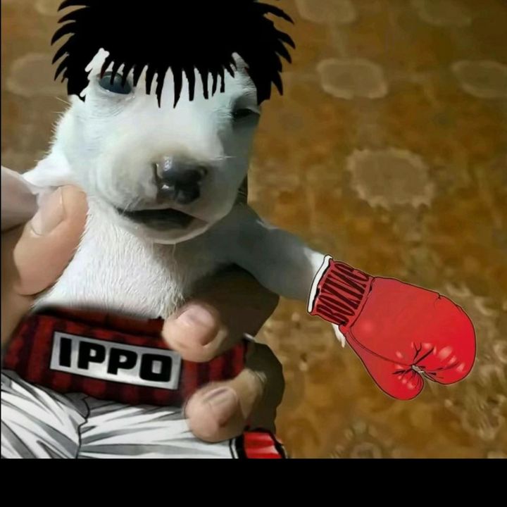 Elvenezolano👻🇰🇷🧢