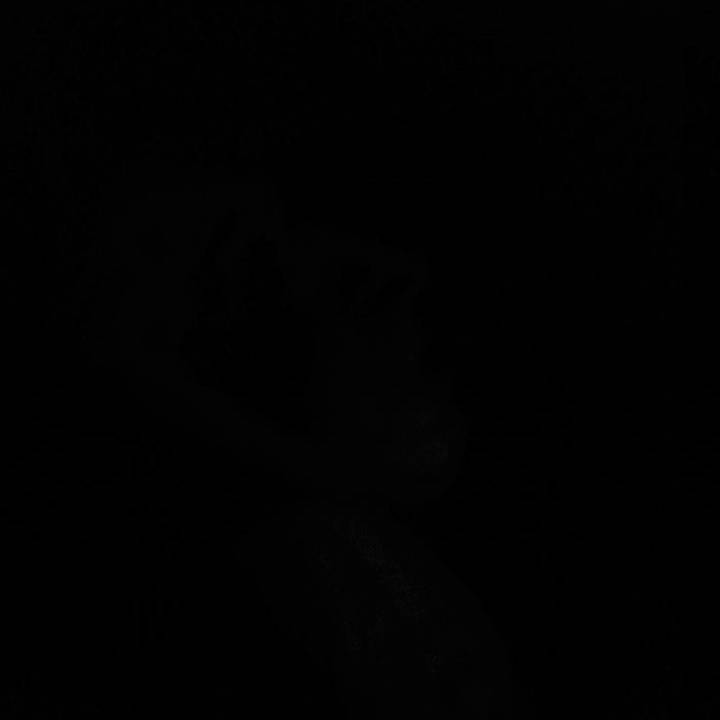 ￶￶￶￶ ￶￶￶￶ ￶￶￶￶