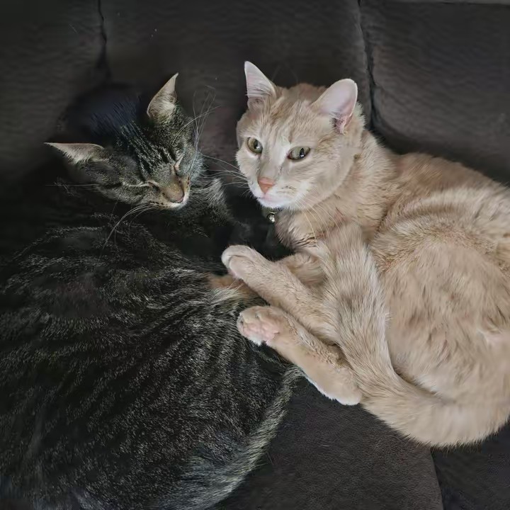 Heather Marie Irion-